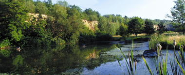 Biodiversity & Land Use